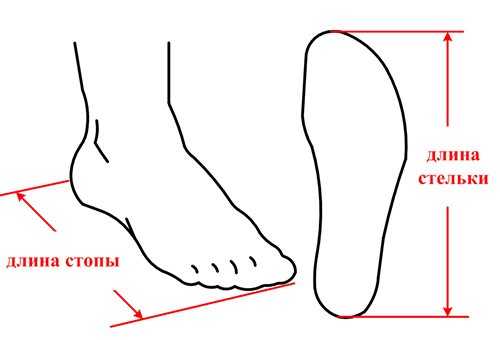 Измерение длины стопы